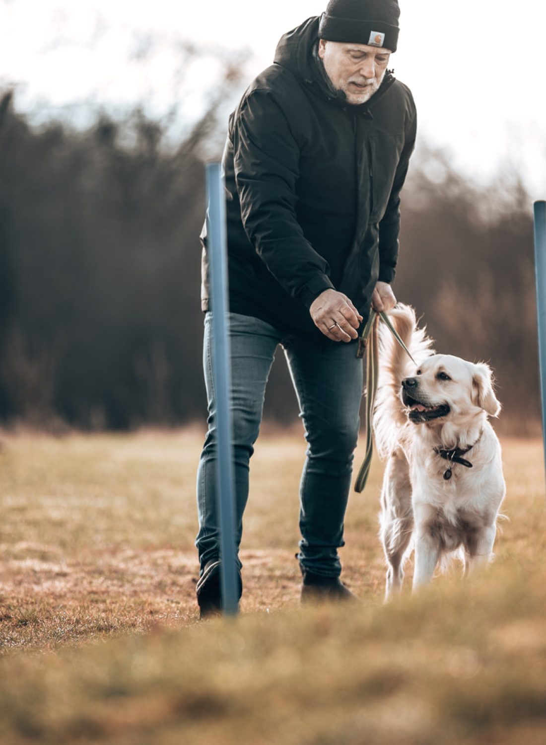 Adventure Dogs