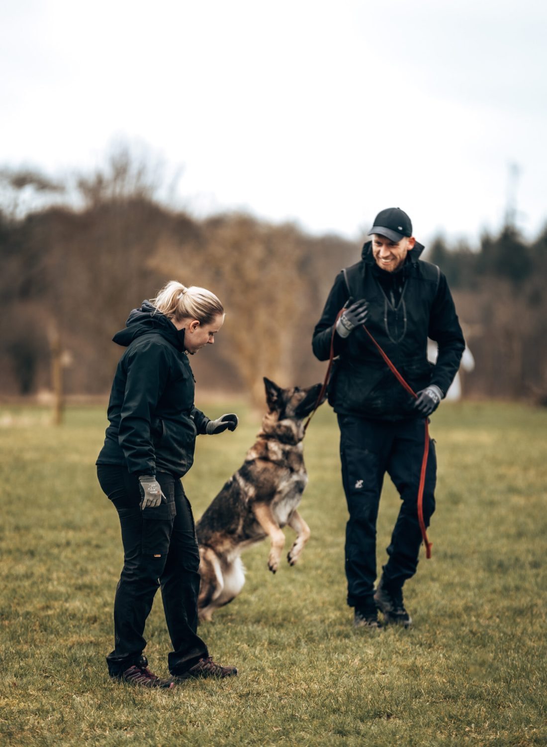 Adventure Dogs