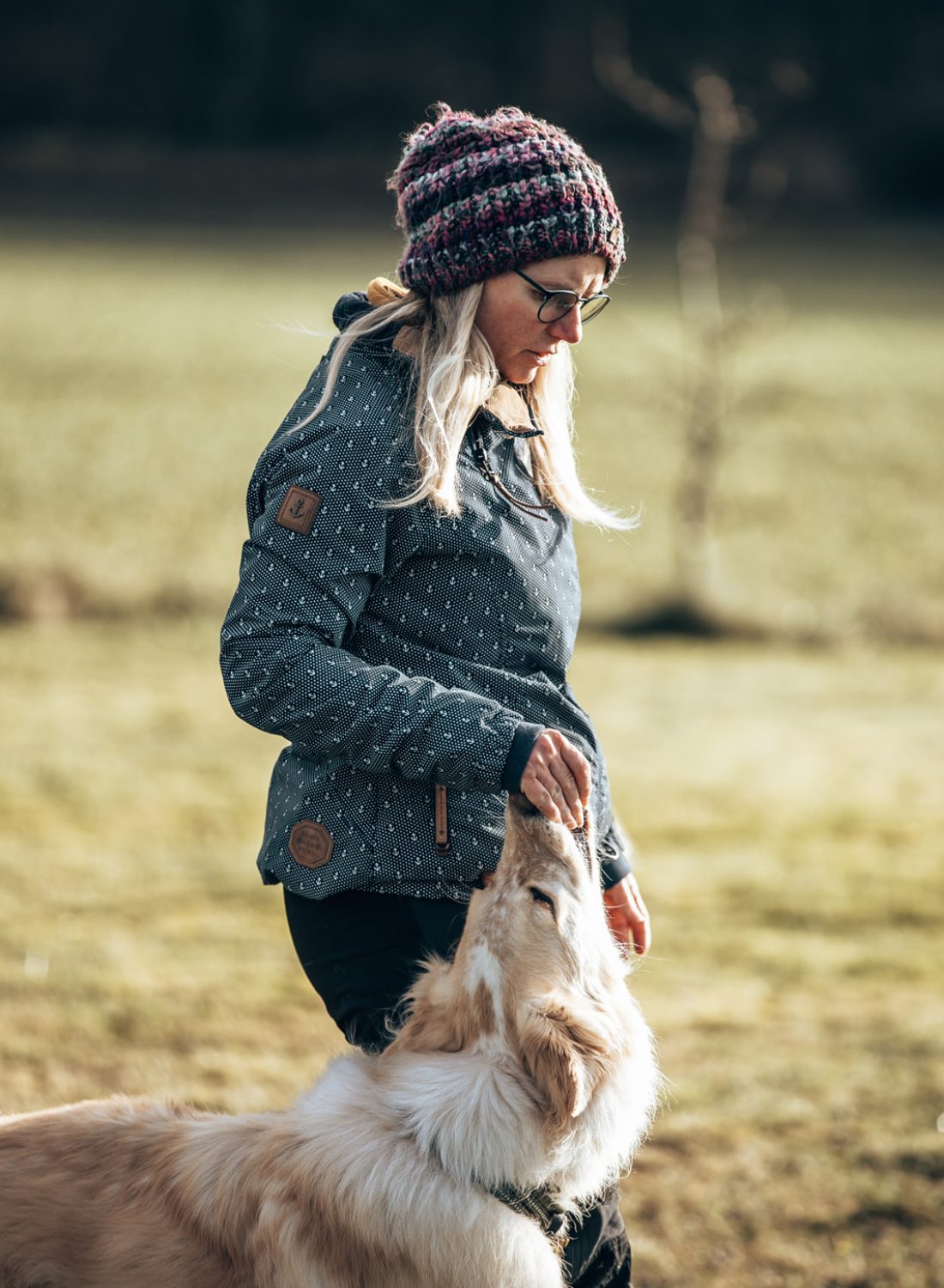 Adventure Dogs